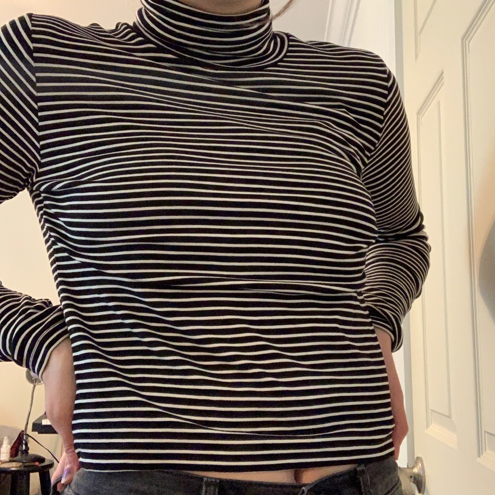 Zara Striped Turtleneck